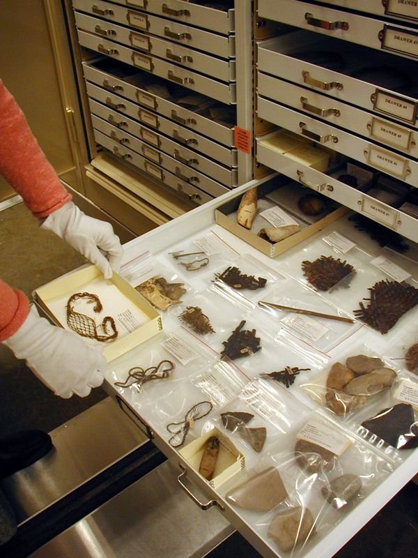 Shelf of a cabinet displaying samples and objects