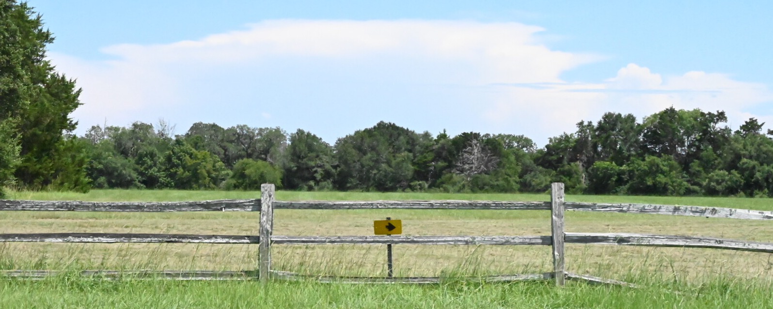 College of Liberal Arts